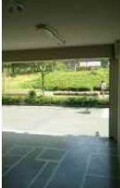 �����̶� ŷ����Ź�ޡ��ƥʥ�����ߤβ���