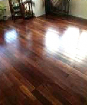 �������� ��嶶��Ź�ޡ��ƥʥ�����ߤβ���