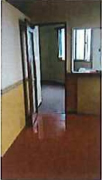 �����̶� ����Ź�ޡ��ƥʥ�����ߤβ���