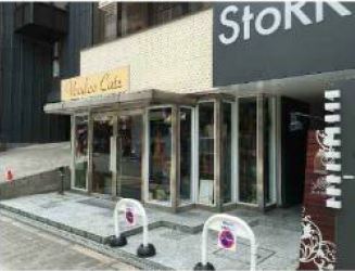 �������� �ͥĶ���Ź�ޡ��ƥʥ�����ߤβ���