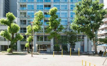 �������� �ͥĶ���Ź�ޡ��ƥʥ�����ߤβ���