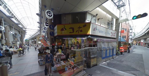 ��������� ������Ź�ޡ��ƥʥ�����ߤβ���