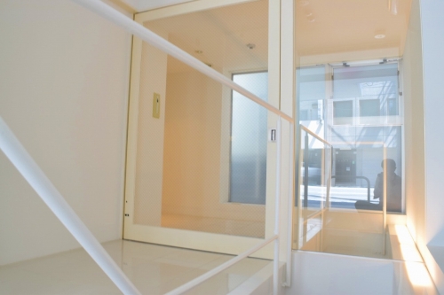 �����̶� ŷ������Ź�ޡ��ƥʥ�����ߤβ���