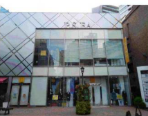 �����̶� ���Ĥ�Ź�ޡ��ƥʥ�����ߤβ���