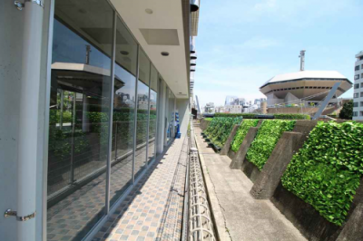 �������� �ͥĶ���Ź�ޡ��ƥʥ�����ߤβ���