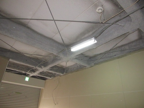 ����ϲ®�� �ʤ�Ф�Ź�ޡ��ƥʥ�����ߤβ���