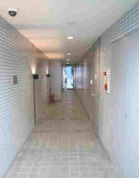 �������� ��嶶��Ź�ޡ��ƥʥ�����ߤβ���