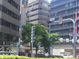 �����̶� �����Ĥ�Ź�ޡ��ƥʥ�����ߤβ���