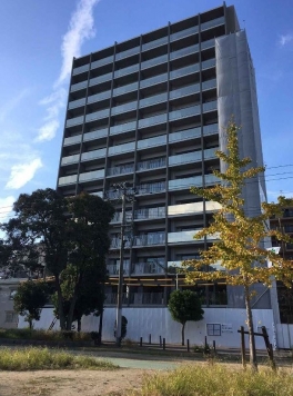 ���Թ��� ��ŷĮ��Ź�ޡ��ƥʥ�����ߤβ���