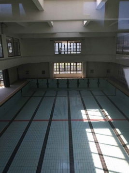 ���Խ�Ƿ���� ʿ�Ӥ�Ź�ޡ��ƥʥ�����ߤβ���