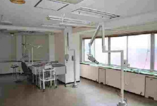 �����̶� ŷ����Ź�ޡ��ƥʥ�����ߤβ���