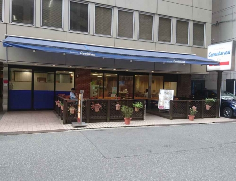 ��������� ��Į��Ź�ޡ��ƥʥ�����ߤβ���