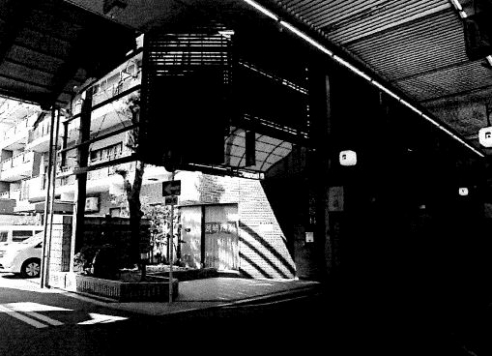 ���԰������ ����Į��Ź�ޡ��ƥʥ�����ߤβ���