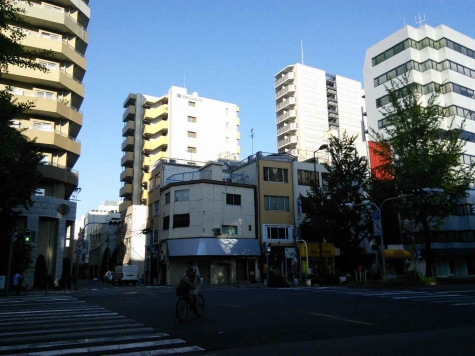 �������� ��嶶��Ź�ޡ��ƥʥ�����ߤβ���