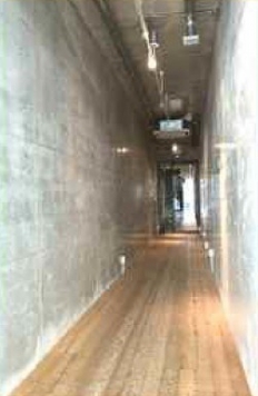 �������� �ͥĶ���Ź�ޡ��ƥʥ�����ߤβ���