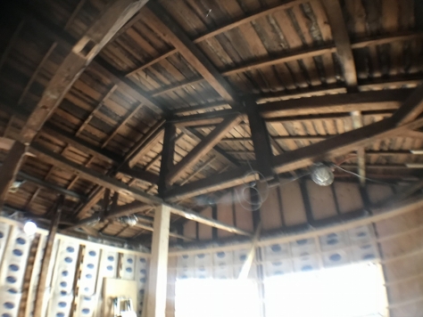 �����̶� ŷ������ϻ���ܤ�Ź�ޡ��ƥʥ�����ߤβ���