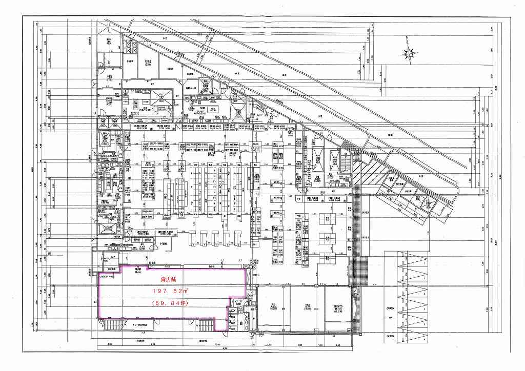 ����ʿ��� ʿ���Ź�ޡ��ƥʥ�����ߤδּ�����