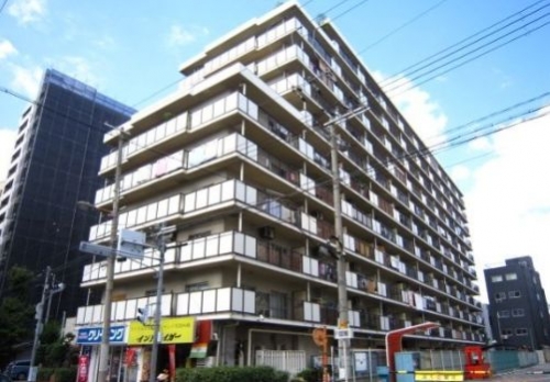 �����̶� ŷ����Ź�ޡ��ƥʥ�����ߤβ���