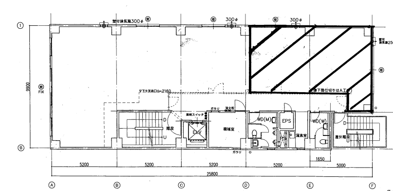 �����̶� �����Ĥ�Ź�ޡ��ƥʥ�����ߤδּ�����