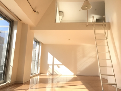 ��������� ���ض���Ź�ޡ��ƥʥ�����ߤβ���