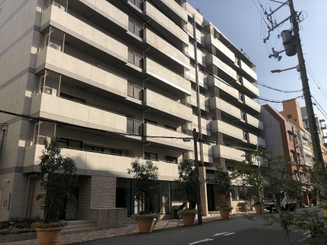 �������� �ͥĶ���Ź�ޡ��ƥʥ�����ߤβ���