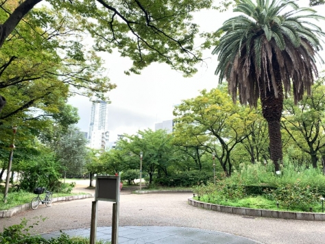 �������� ��Į��Ź�ޡ��ƥʥ�����ߤβ���