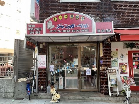 ����ʡ��� ���ĺ����Ź�ޡ��ƥʥ�����ߤβ���