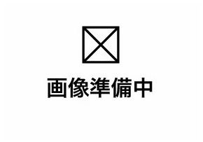 ����������� �忷����Ź�ޡ��ƥʥ�����ߤδּ�����