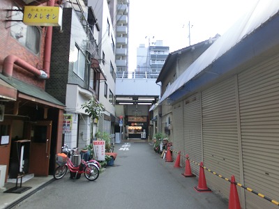 �����̶� ŷ����Ź�ޡ��ƥʥ�����ߤβ���