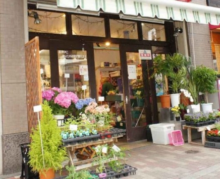 ˭��� ���Ӥ�Ź�ޡ��ƥʥ�����ߤβ���