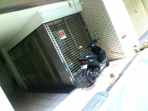 �����̶� ���Ĥ�Ź�ޡ��ƥʥ�����ߤβ���