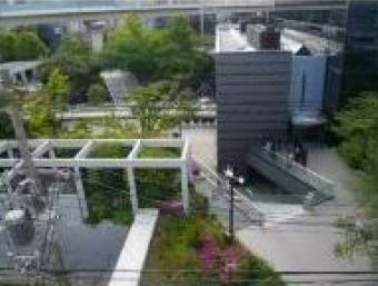 �����̶� ���Ĥ�Ź�ޡ��ƥʥ�����ߤβ���