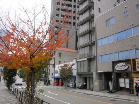 �����̶� ��嶶��Ź�ޡ��ƥʥ�����ߤβ���