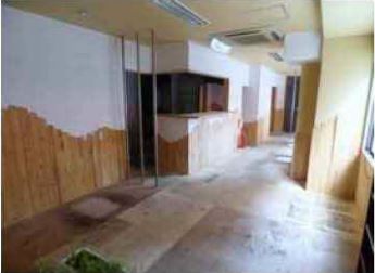 ����������� ���ܤ�Ź�ޡ��ƥʥ�����ߤβ���